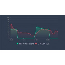 Echtzeit Energieausweis (GEG §§79ff)